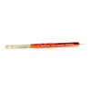 French Nail Brush