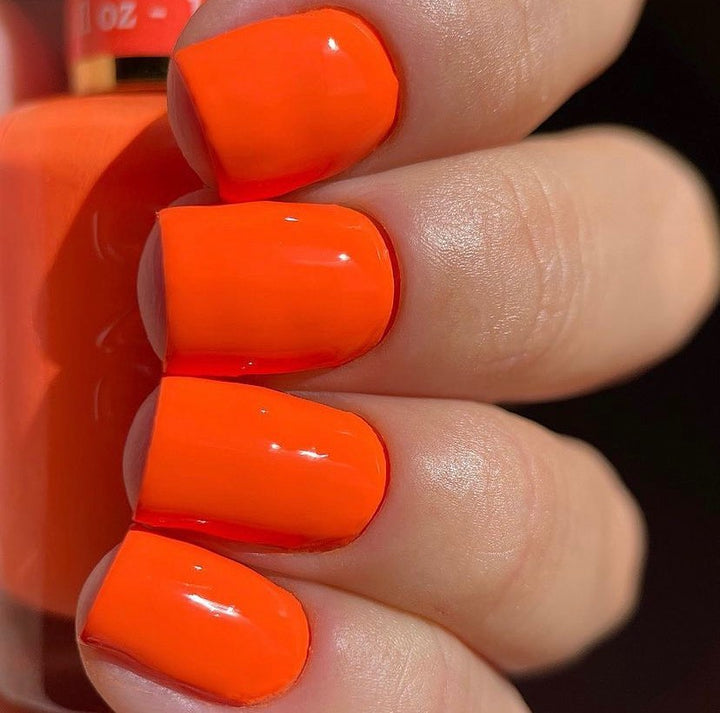 DND DC #10 Dutch Orange – additional view 2